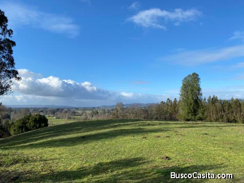 Lotes en Venta en Pitrufquén