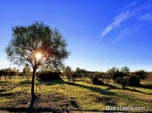 Parcela de agrado 5000metros con rol propio 