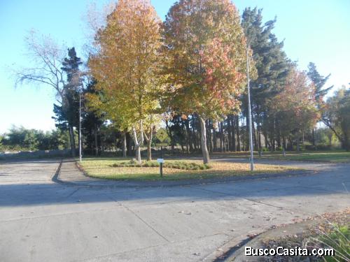 Venta Terrenos sector Lomas San Andrés Concepción