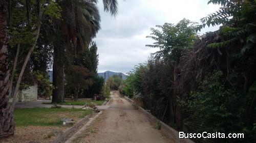 Un Terreno bien Ubicado que te Hará Ganar Dinero 