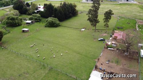 Terreno en venta a 10 kilómetros de Osorno