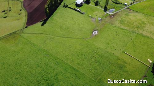 Terreno de 5000m2 a 3 km de Osorno