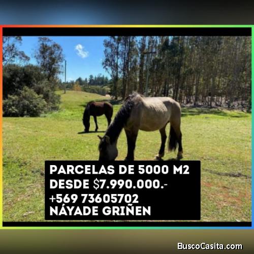 Hernosas parcelas a minutos de santiagi