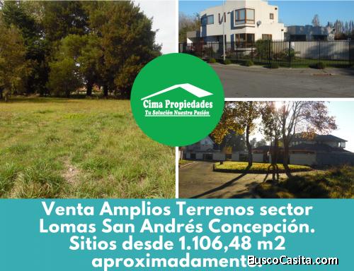 Venta Terrenos sector Lomas San Andrés Concepción