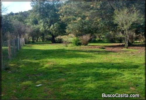 VENTA DE PARCELAS DE AGRADO DESDE LOS $30.000.000 Proyecto Condominio “SAN PATRICIO DE PINTUÉ”.