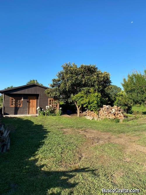 Hermoso campo productivo en Los Ángeles, Sector El Ciruelo