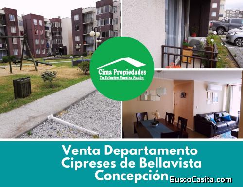Departamento Cipreses Bellavista Concepcion, Locomoción A La Puerta, Centro De Concepción