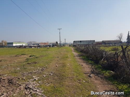 Linderos-Buin, Gran Paño Urbano.