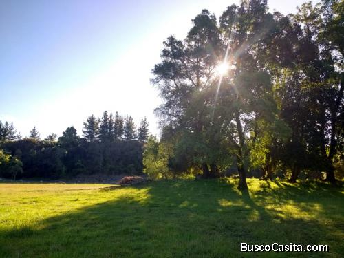 Venta de Parcelas Campo Hermoso 9 Km Saltos del Laja Octava Región del Bio-Bio