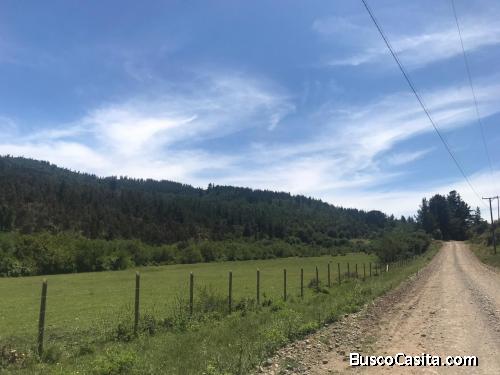Cauquenes, Campo de 90 Hectáreas.