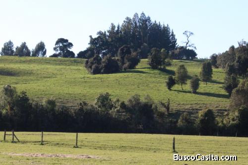 Venta parcela 0,5 ha., Mirador Los Volcanes, cerca de Puyehue.