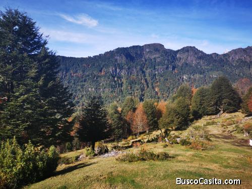 Venta parcela 0,5 ha., Rinconada de Pucón, a 40 km.de Pucón