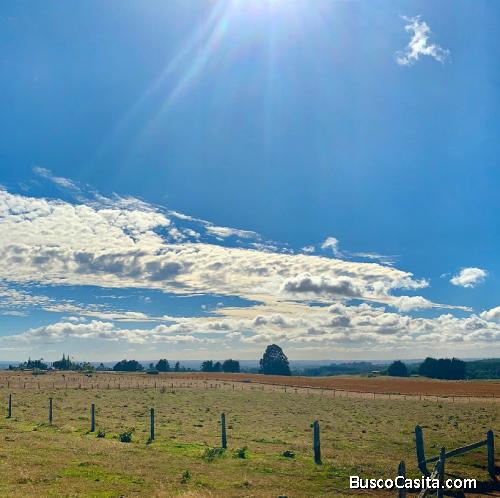3,75 ha campo en oferta