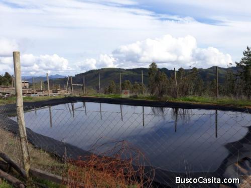 VENDO PARCELA EN HUALAÑE REGION DEL MAULE