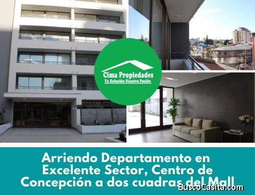  Luminoso a dos cuadras del Mall Concepción Centro