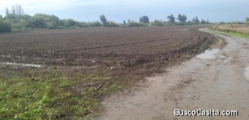 vendo fundo el rosal