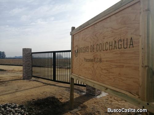 Parcelas 100% en orilla de Ruta 90, Valle de Colchagua.