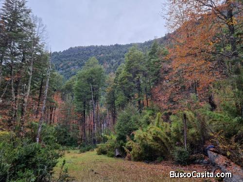 Parcelas en Curarrehue, Pucón