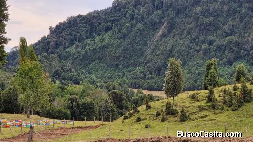 Parcelas a 8 km de Lago Rupanco