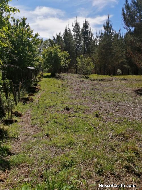 Parcela Lago Colico, sector La Esperanza
