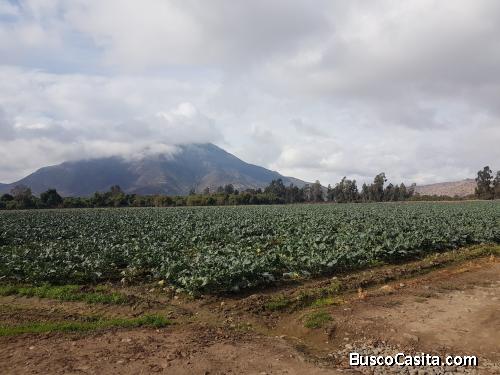Venta Parcela 4 hectáreas, Águila Norte.