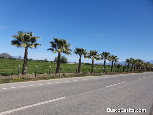 Codegua, Lote de 37,56 hectáreas.