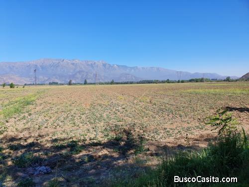 Campo de 51,26 Hás en Codegua, VI Región