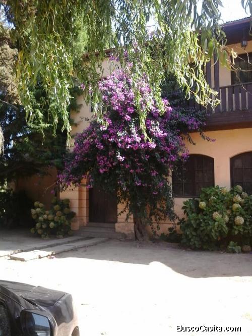 Terreno Culitrin