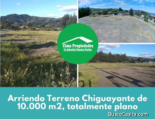 Arriendo Terreno Chiguayante Esquina de 10.000 m2 