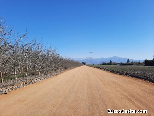VENDO PARCELAS 5000 M2 OLIVETO TALAGANTE