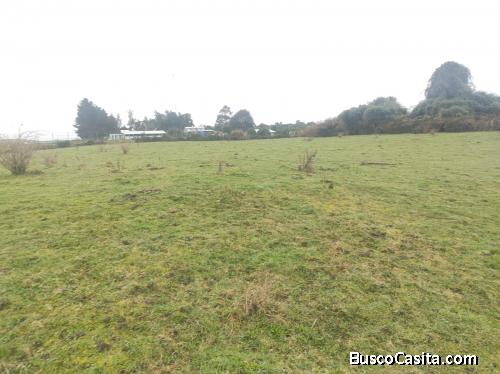 VENTA DE TERRENO LOS MUERMOS - PUERTO MONTT