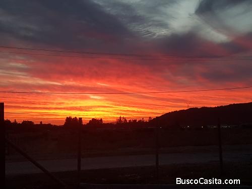 Exclusivas parcelas de 5000m2 en el exclusivo sector de ZAPALLAR en CURICO