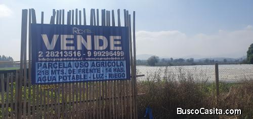 Melipilla, Parcela agrícola 13,7 Hás.