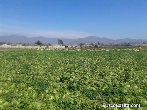 HERMOSA PARCELA VALLE DEL ELQUI