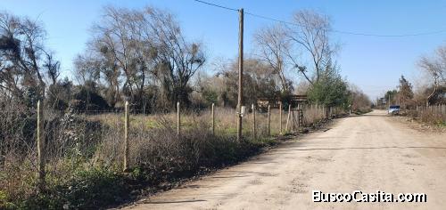 Linares, Séptima Región, parcela 3 Hás.