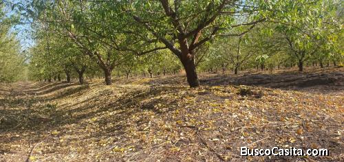 Venta 18 Hás en Chada-Paine.