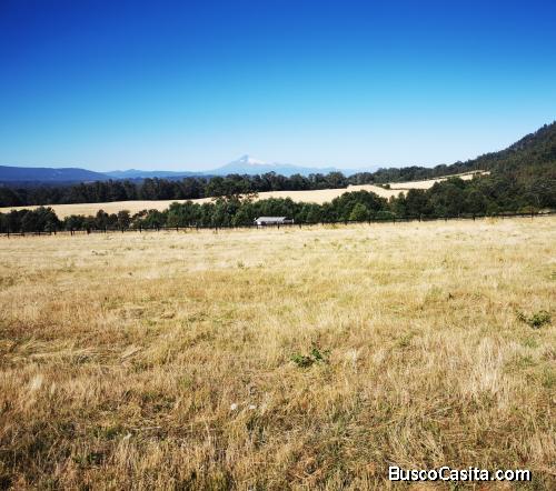 Se vende Parcela en Panguipulli 