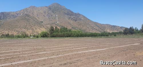 Colonia Kennedy, 4 hectáreas uso agrícola.
