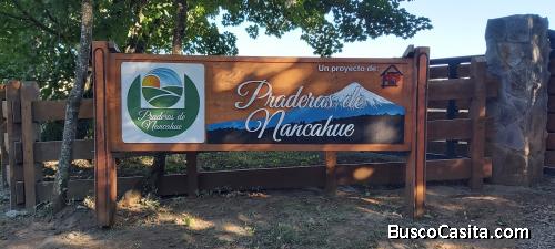 Venta de Parcela cercana a Villarrica, vida natural