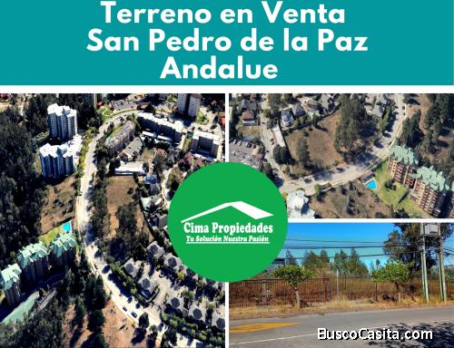 Terreno Esquina 2.333 m2 Avenida Andalue San Pedro