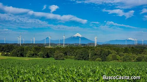Parcelas en Loncotoro, Llanquihue