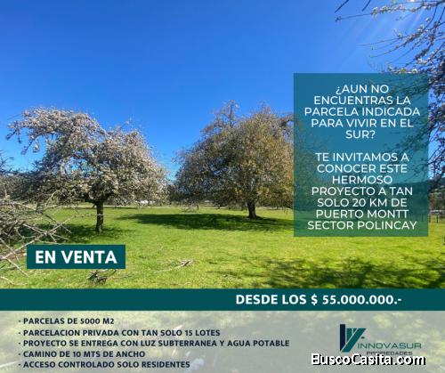 Parcelas de 5000 m2 a 20 km de Pto Montt 