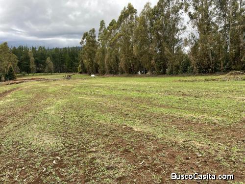 Oferton!!!! de Parcela a $12.990.000 cercana a Villarrica