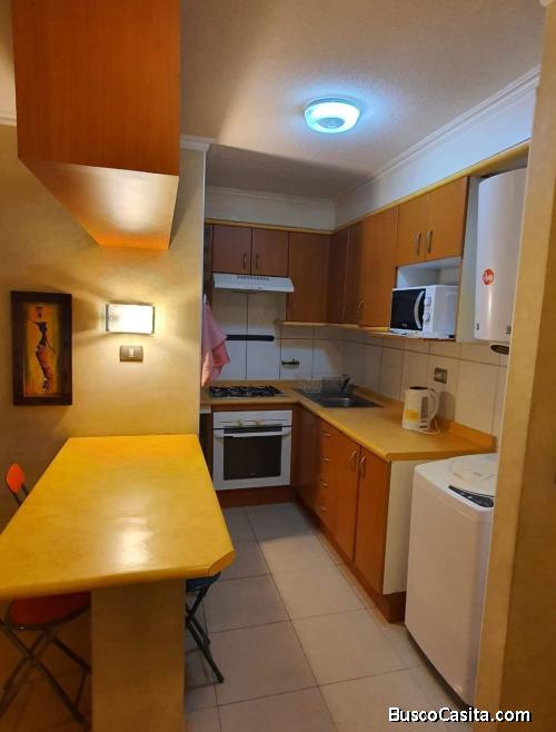 Departamento 1 ambiente 
