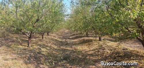 Venta 18 Hás en Chada-Paine.