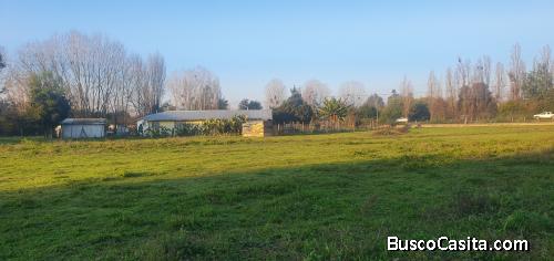 Linares, Parcela de 15.000 m2