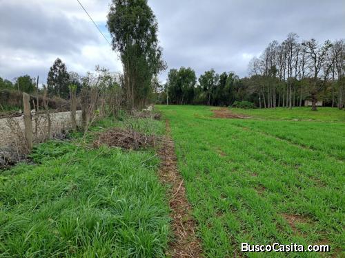 SE VENDE TERRENO 12 HECTAREA
