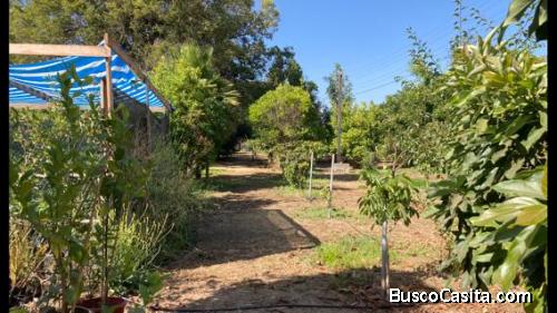 PARCELA en LIMACHE  Paraíso Verde en Limache: Única Parcela de 5.150 m2 con Potencial Infinito.