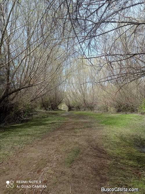 Hermoso Terreno a orillas de Río (Sector Allipen)