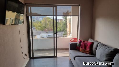 LUMINOSO DEPTO. 45M2, ROMAN DIAZ  CLEMENTE FABRES, PROVIDENCIA